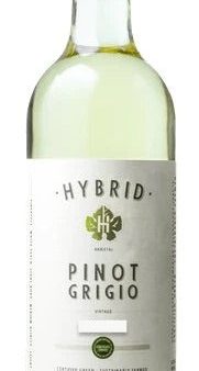 Hybrid Lodi Pinot Grigio 2022 Supply