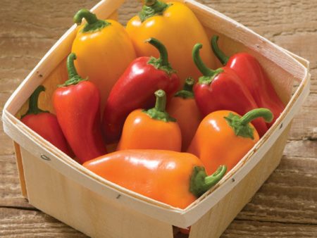 Kings Seeds Pepper Sweet Lunch Box Mix Supply