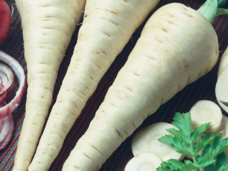 Kings Seeds Parsnip Gladiator F1 For Sale