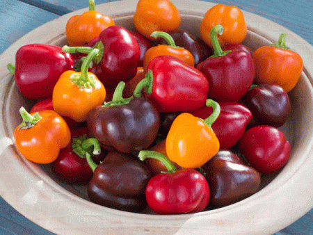 Kings Seeds Pepper Sweet Sweetonia Mixed For Sale