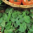 Suffolk Herbs ORGANIC SEEDS Salad Rocket Fashion