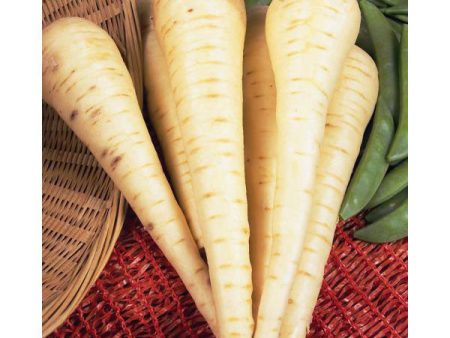 Kings Seeds Parsnip Imperial Crown For Discount