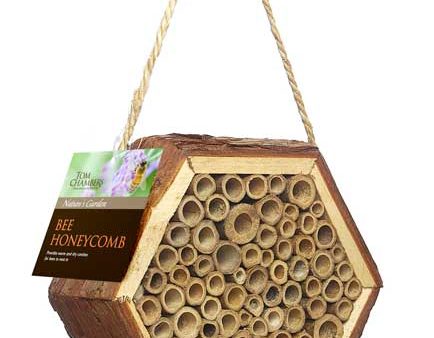 Tom Chambers Bee Honeycomb Cheap