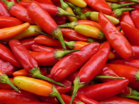 Kings Seeds Pepper Chilli Tabasco Sale