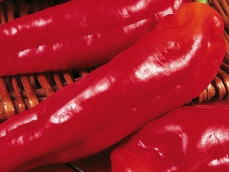 Kings Seeds Pepper Sweet Long Red Marconi For Discount