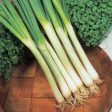 Suffolk Herbs ORGANIC SEEDS Onion White Lisbon Online Sale