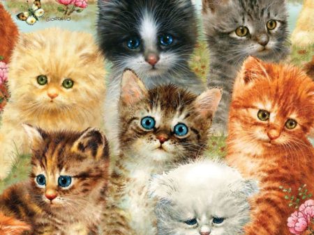 1000pc A Pile of Kittens Puzzle Online Hot Sale