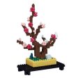 Plum Bonsai Cheap