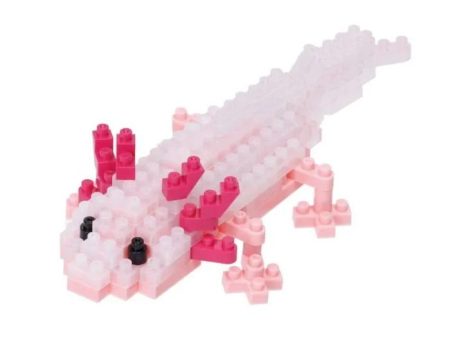 Axolotl Clear White Online Hot Sale