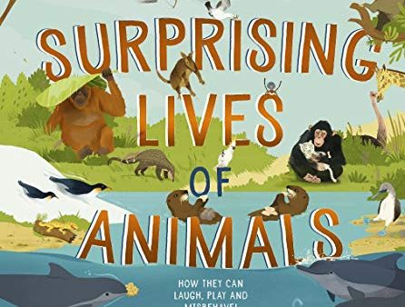 The Surprising Lives Of Animals: How They Can Laugh, Play And Misbehave! Online Sale