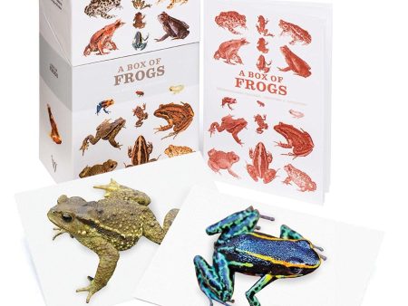 Box Of Frogs: 100 Beautiful Postcards Online Hot Sale